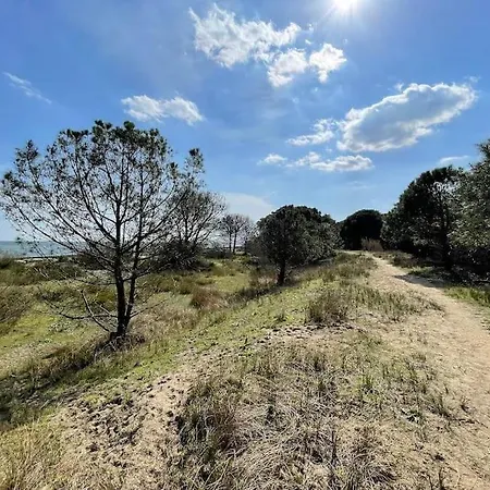 Vicina Дом отдыха