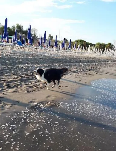 Dom wakacyjny Vicina Lido di Volano