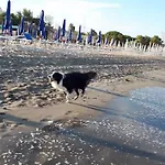 Holiday home Vicina Lido di Volano