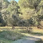 Vicina Holiday home Lido di Volano