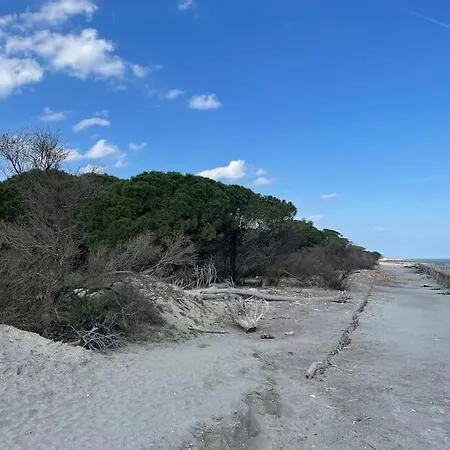 Vicina * Lido di Volano