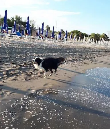 Casa de Férias Vicina Lido di Volano