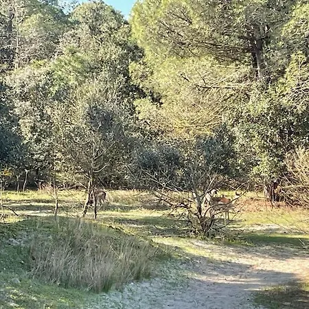 Vicina Prázdninový dům Lido di Volano